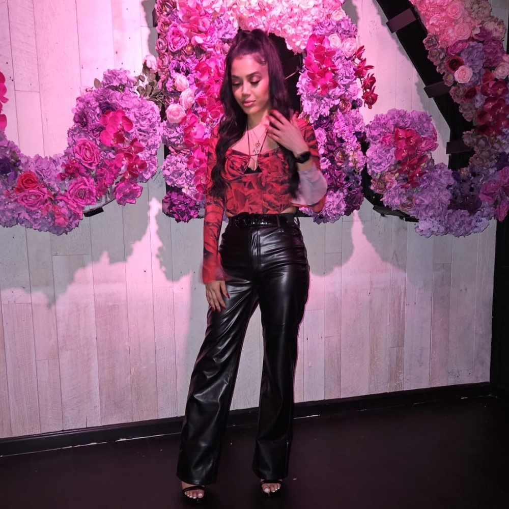 Red Rose Corset Crop Top